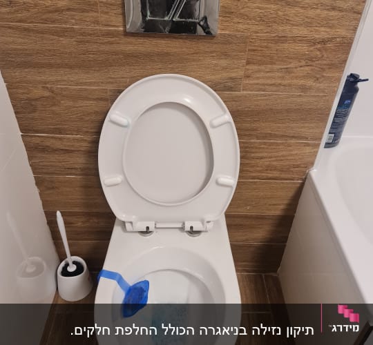 אסלה עם חומר ניקוי כחול ומברשת שירותים
